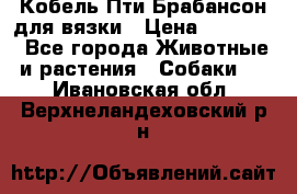 Кобель Пти Брабансон для вязки › Цена ­ 30 000 - Все города Животные и растения » Собаки   . Ивановская обл.,Верхнеландеховский р-н